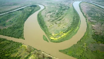 După WWF, subvențiile pentru agricultură dăunează Deltei Dunării. Specialiștii lor ne-ar vrea în Evul Mediu!