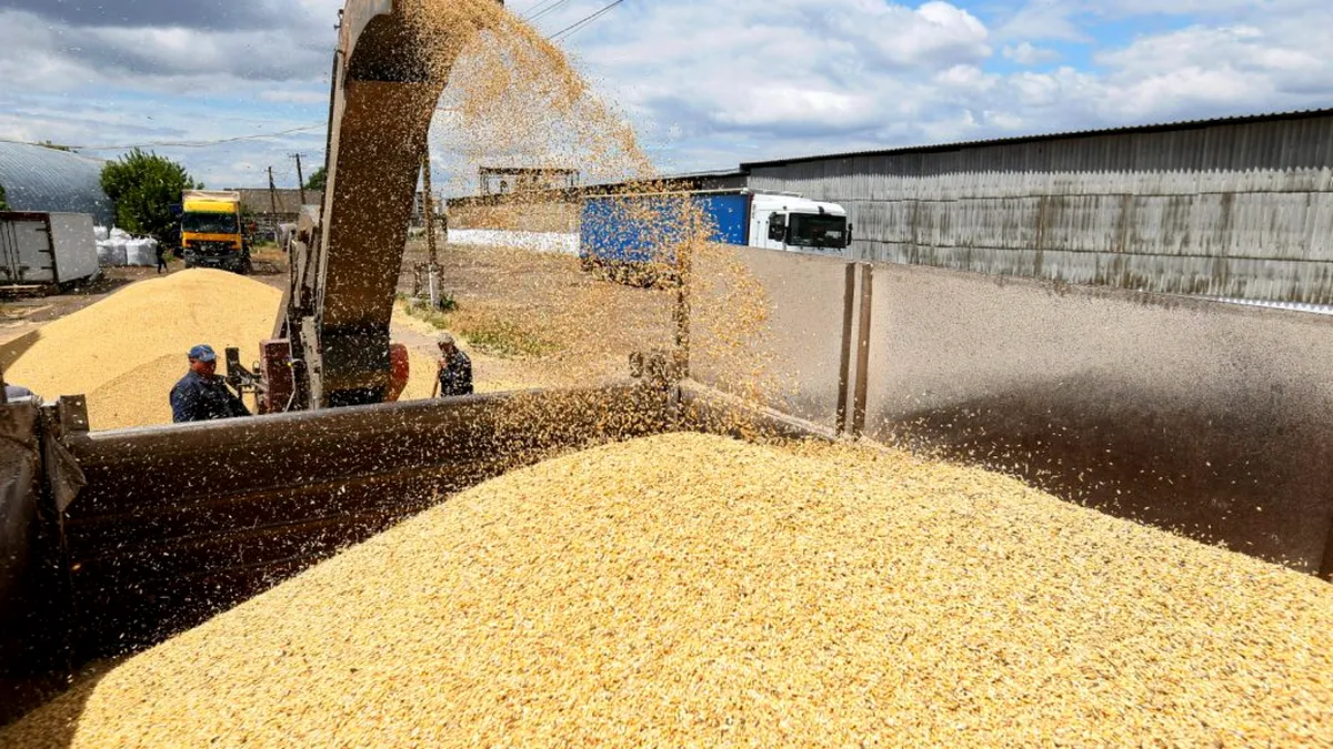 România sigilează transporturile ucrainene de cereale și face controalele direct în vamă 