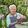 Crește în orice grădină și puțini știu că era remediul de bază al bunicilor. Planta folosită ca leac de generații întregi
