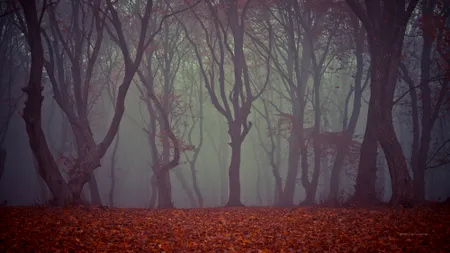 Pe unde ne așteaptă fantomele din România? Ghost-hunting de Halloween, pentru cei care doresc să „pipăie” misterele