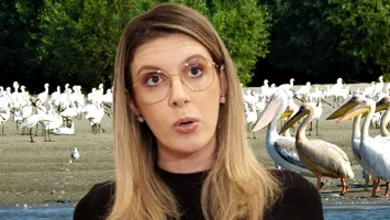 Diana Buzoianu riscă biodiversitatea Bălții Mici a Brăilei printr-un plan de management controversat