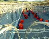 Român trimis direct în iadul Guantanamo. America îl consideră un pericol național