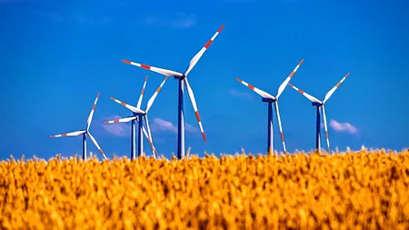 Agricultorii se tem de al doilea val de coronavirus în lunile următoare