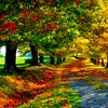 Prognoza meteo pentru octombrie: toamnă blândă în România, cu deficit de ploi în vest, nord-vest și centru