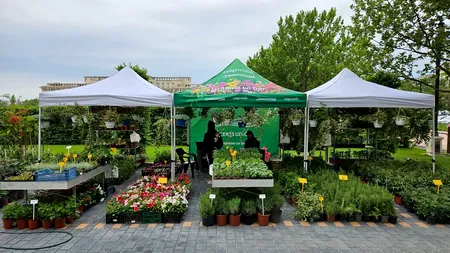 „Toamna Horticolă Bucureşteană - Ziua Recoltei'', un regal de frumusețe și de gusturi