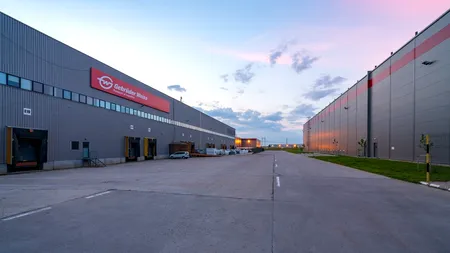 Sondaj: Aproape 90% dintre companiile active pe piața logistică și industrială vor să intensifice activitatea de comerț online