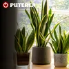 Ce pățesc plantele de apartament stropite cu bicarbonat de sodiu. Un sfert de linguriță face diferența