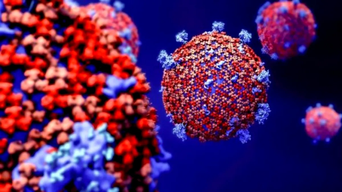 O nouă tulpină de coronavirus a fost descoperită în Nigeria