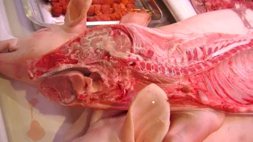 România pierde 100 de milioane de euro anual, după ce Marea Britanie a interzis importurile de carne de porc din cauza pestei porcine