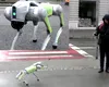 Roboți cu AI patrulează într-un oraș din România. Curățenie stradală și mesaje pentru locuitori
