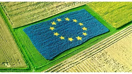 Documentul privind viitorul PAC, blocat de România