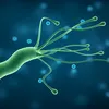Descoperire uluitoare: o formă microscopică de viață încalcă regulile geneticii
