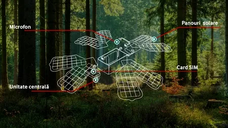 O pădure din Covasna a fost dotată cu un sistem de ascultare inteligent, care va ajuta la combaterea defrișărilor ilegale