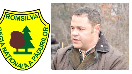 Cine va fi noul director general al Romsilva