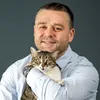 Ciucu scoate biciul: PSD a dărâmat guvernul, apoi a dispărut în ceață