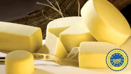 Producătorul de brânzeturi Mirdatod Ibănești obține un ajutor de 700.000 euro pentru panouri fotovoltaice