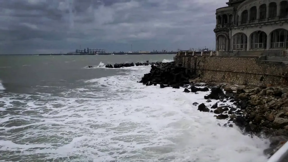 O echipă de cercetători a început cartografierea habitatelor de la Marea Neagră şi a speciilor protejate