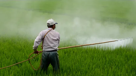 Criza care pândește agricultura globală. Bayer amenință cu retragerea celui mai puternic erbicid din cauza litigiilor legate de cancer