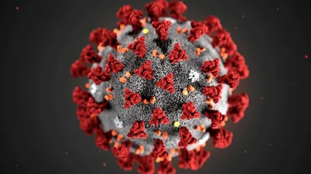 Diagnostic rar: O femeie s-a infectat simultan cu două tulpini diferite de coronavirus