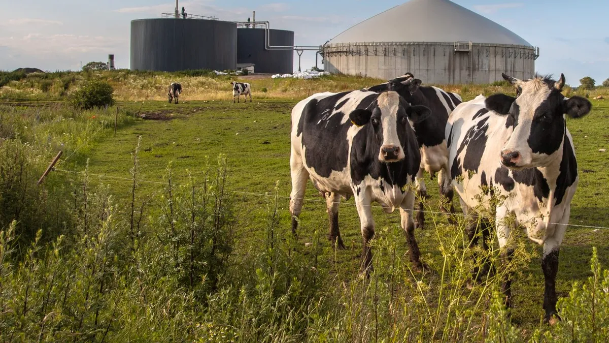 Guvernul „legalizează” biometanul pentru a salva industria de recesiune!