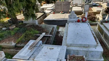 Piedone a dat o raită și prin cimitire. Ce a găsit acolo