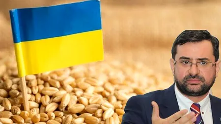 Fostul ministru Chesnoiu: Fermierii nu-și mai acoperă costurile, din cauza tranzitului cerealelor ucrainene