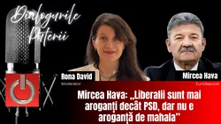 PNL, între tabere și lipsa dialogului: „Este o boală a partidului”, spune Hava