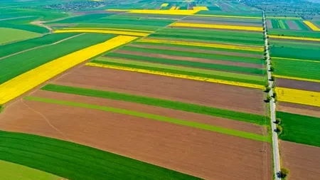 APIA a autorizat la plată peste 637,9 milioane euro, pentru fermieri, în ultimele trei luni