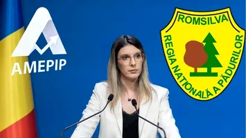 Șefa AMEPIP, Anișoara Ulcelușe, ar putea stopa numirea ilegală a directorului general de la Romsilva, dar…se mai gândește
