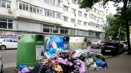 Războiul gunoiului: Romprest acuză birocrația și datoriile uriașe neachitate de Primăria Sector 1