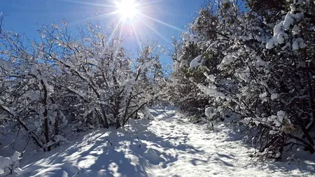 Ianuarie, o lună atipică, anunță meteorologii
