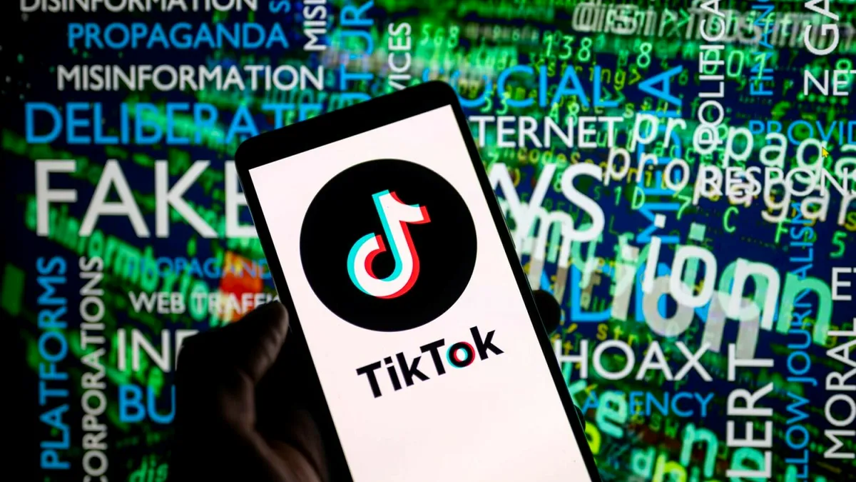 TikTok a eliminat 3 campanii de influențare în timpul alegerilor din România, au dezvăluit directorii companiei în Parlamentul European