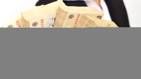 În ce domeniu ești plătit cel mai bine în România. Salariile ajung la 10.000 de lei!