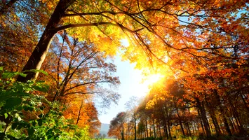 Vremea o ia razna în toată țara. Urmează temperaturi neobișnuite