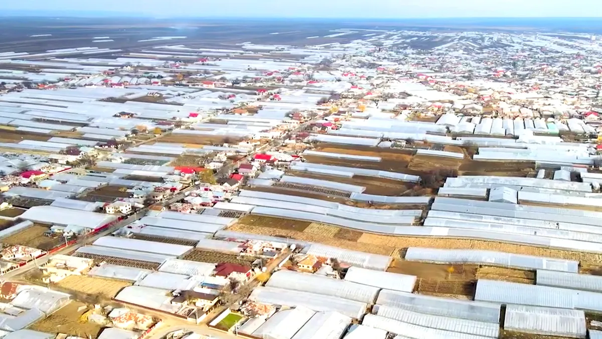 Fermierii din Matca s-au unit într-o cooperativă, prin care accesează finanțări UE și construiesc o fabrică de conserve