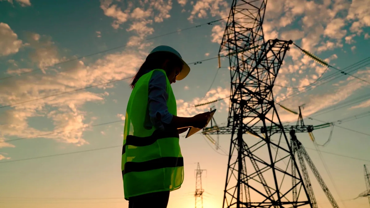 Ministrul ar vrea tarife în funcţie de orele la care se consumă energia electrică