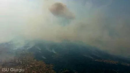 Giurgiu: O suprafaţă de peste 70 de hectare de mirişte de porumb a ars la Prundu de la un foc deschis