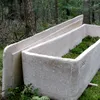 Sicriul din ciuperci care schimbă industria funerară: o alternativă ecologică ce se cultivă în doar șapte zile