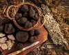 Un oraș european a primit titlul de capitala trufelor. Deține titlul de oraș gastronomic UNESCO