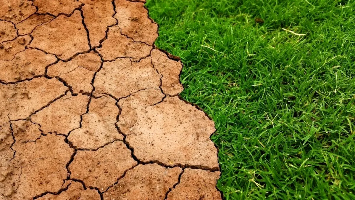 Fermierii afectați de secetă vor fi ajutați de stat: Klaus Iohannis a promulgat legea