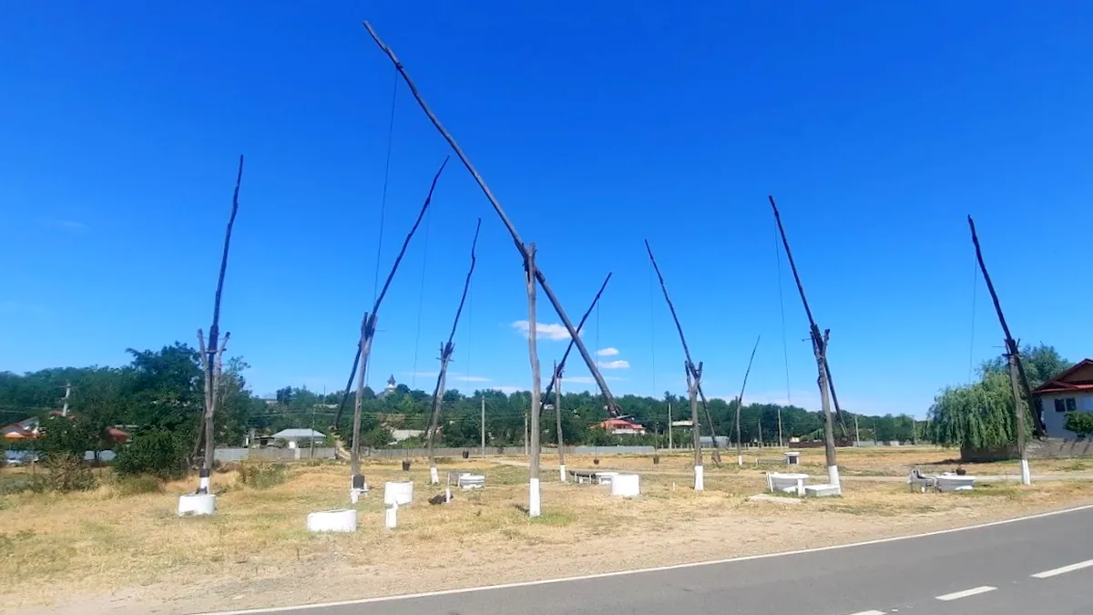 Spectaculoasa „pădure de fântâni” de la Cuca, o „uzină de apă” de acum o sută de ani