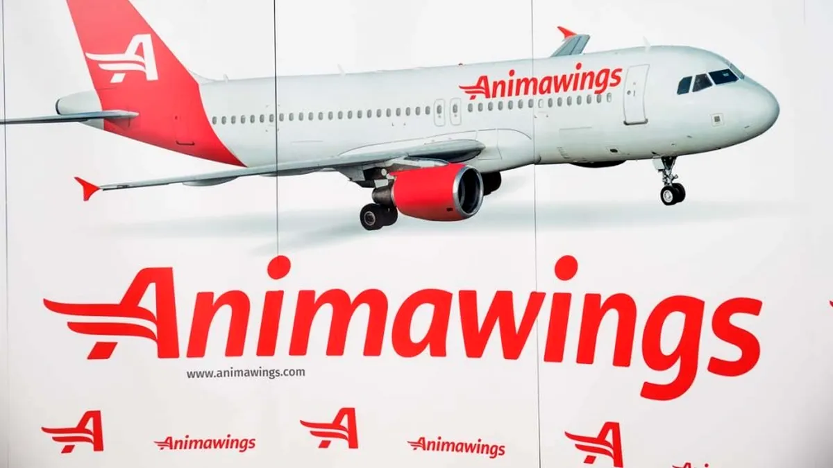 Animawings, companie aeriană fondată de Cristian Pandel, vrea să extindă flota cu două avioane