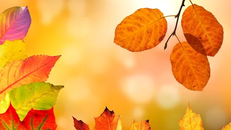 Cum va fi vremea în septembrie. Toamna începe cu temperaturi mai scăzute decât cele specifice perioadei