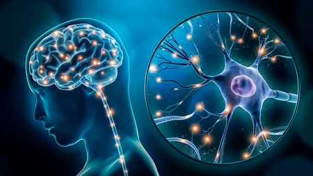 EMA autorizează Leqembi, medicament pentru Alzheimer