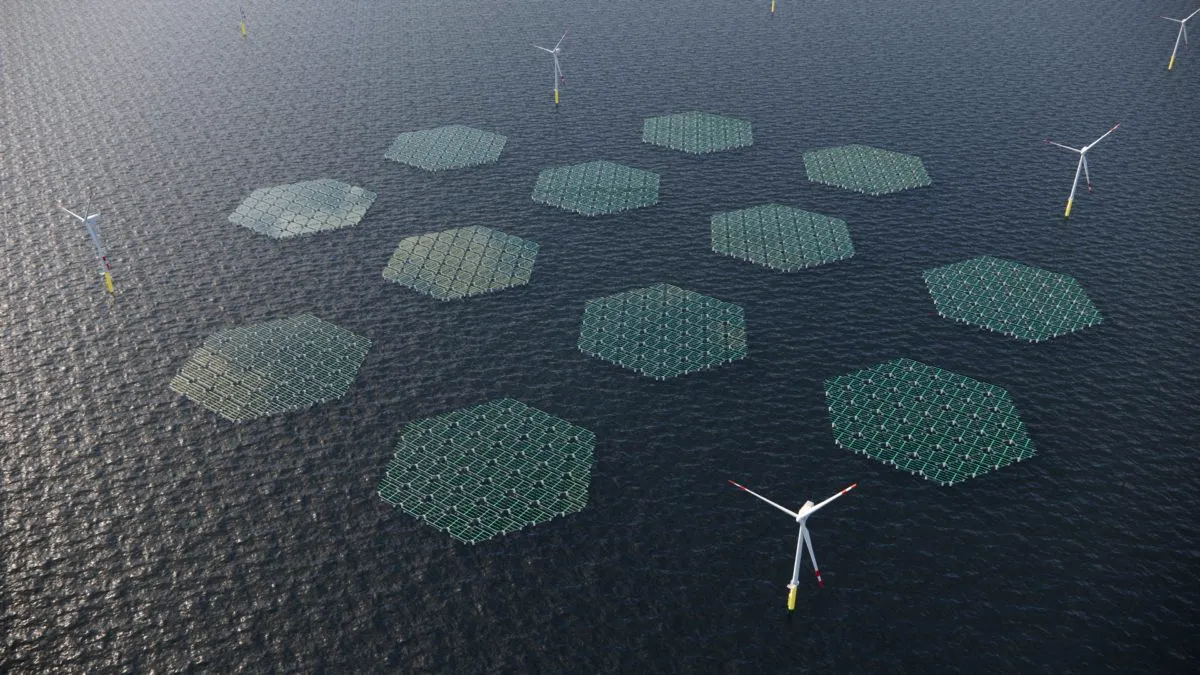 Qatarul, interesat de concesionarea unui perimetru în Marea Neagră, pentru energie solară și eoliană