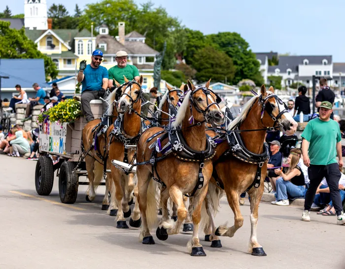 Trasură trasă de cai pe insula Mackinac