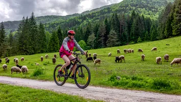 Ciclist atacat de o capră, la Turul Italiei