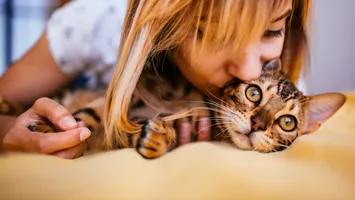 Ştiinţa explică de ce pisicile ne fac mai calmi şi fericiţi