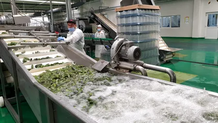 Pe ce loc se află România în topul celor mai atractive pieţe de producţie din Europa