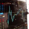 Electro-Alfa International intră în BET: povestea unei companii din Botoșani ajunsă la o capitalizare de 3,1 miliarde de lei în șase luni